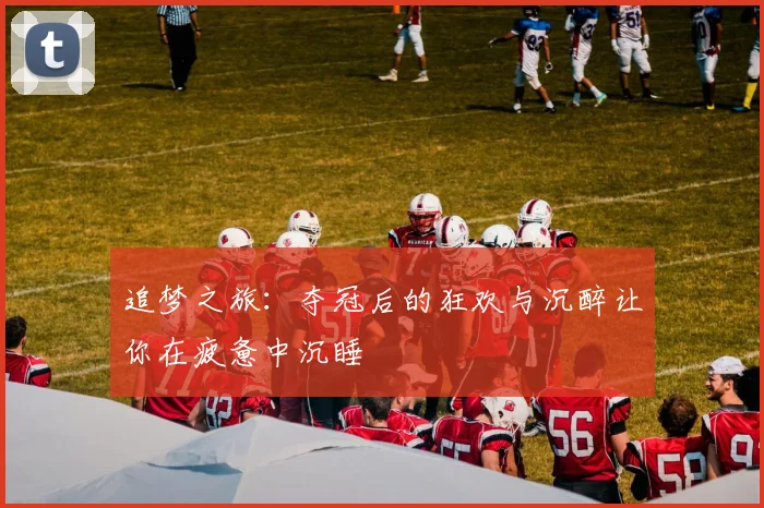 追梦之旅：夺冠后的狂欢与沉醉让你在疲惫中沉睡