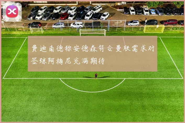 费迪南德称安德森符合曼联需求对签琼阿梅尼充满期待